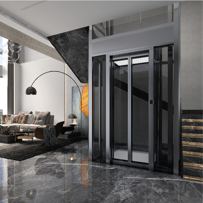 Forced Drive Type Villa Elevator