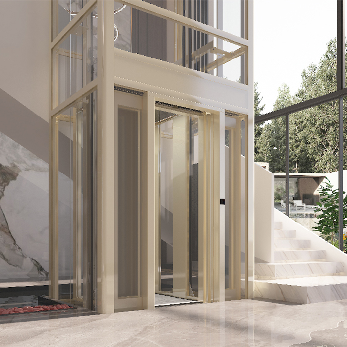 Traction Type Villa Elevator